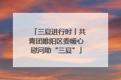 三夏进行时丨共青团睢阳区委暖心慰问助“三夏”