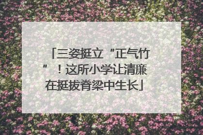 三姿挺立“正气竹”！这所小学让清廉在挺拔脊梁中生长