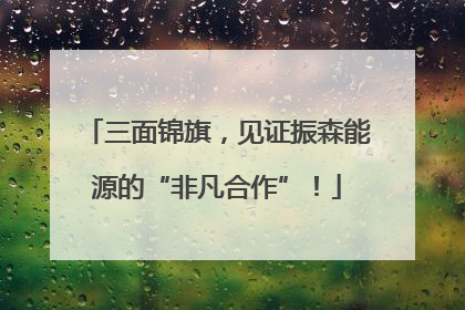 三面锦旗，见证振森能源的“非凡合作”！