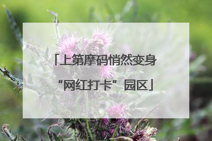 上第摩码悄然变身“网红打卡”园区