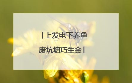 上发电下养鱼 废坑塘巧生金