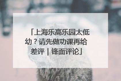 上海乐高乐园太低幼？请先做功课再给差评｜锋面评论
