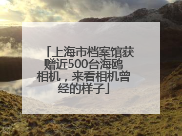 上海市档案馆获赠近500台海鸥相机，来看相机曾经的样子