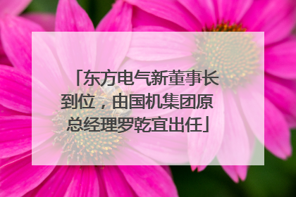 东方电气新董事长到位，由国机集团原总经理罗乾宜出任