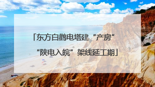 东方白鹳电塔建“产房” “陕电入皖”架线延工期