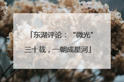 东湖评论：“微光”三十载，一朝成星河