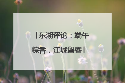 东湖评论：端午粽香，江城留客