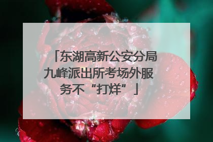东湖高新公安分局九峰派出所考场外服务不“打烊”