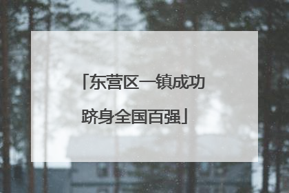 东营区一镇成功跻身全国百强