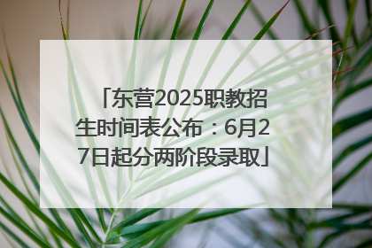 东营2025职教招生时间表公布：6月27日起分两阶段录取