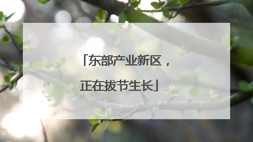 东部产业新区，正在拔节生长