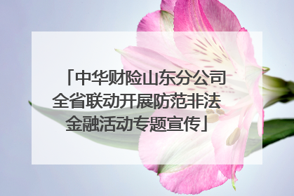 中华财险山东分公司全省联动开展防范非法金融活动专题宣传