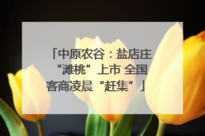 中原农谷：盐店庄“滩桃”上市 全国客商凌晨“赶集”