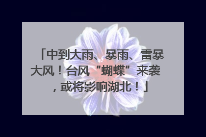 中到大雨、暴雨、雷暴大风！台风“蝴蝶”来袭，或将影响湖北！