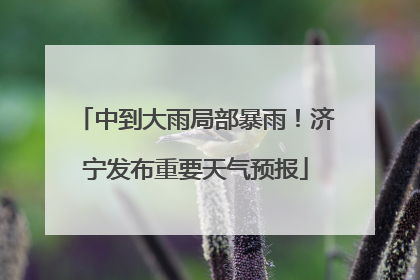 中到大雨局部暴雨！济宁发布重要天气预报