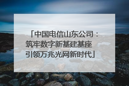 中国电信山东公司：筑牢数字新基建基座 引领万兆光网新时代