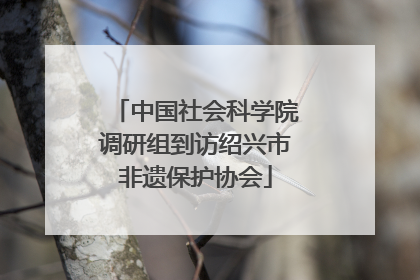 中国社会科学院调研组到访绍兴市非遗保护协会