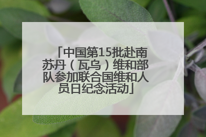 中国第15批赴南苏丹（瓦乌）维和部队参加联合国维和人员日纪念活动