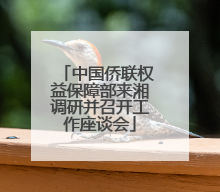 中国侨联权益保障部来湘调研并召开工作座谈会