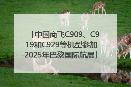 中国商飞C909、C919和C929等机型参加2025年巴黎国际航展