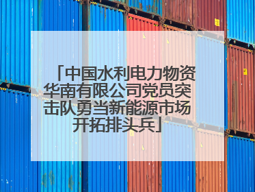 中国水利电力物资华南有限公司党员突击队勇当新能源市场开拓排头兵