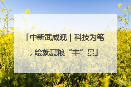 中新武威观｜科技为笔，绘就夏粮“丰”景