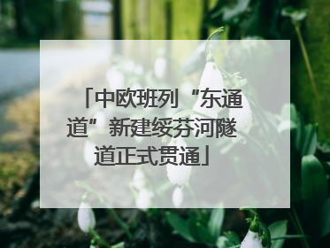 中欧班列“东通道”新建绥芬河隧道正式贯通