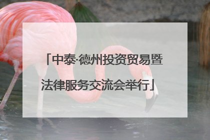 中泰·德州投资贸易暨法律服务交流会举行