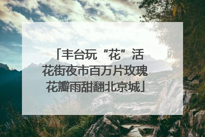 丰台玩“花”活 花街夜市百万片玫瑰花瓣雨甜翻北京城