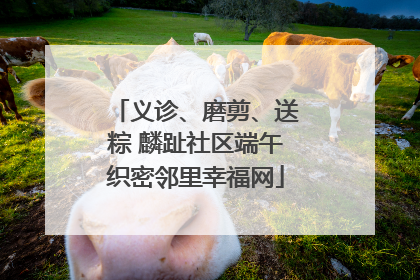 义诊、磨剪、送粽 麟趾社区端午织密邻里幸福网