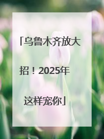 乌鲁木齐放大招！2025年这样宠你