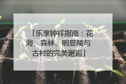 乐享钟祥指南：花海、森林、明显陵与古村的完美邂逅