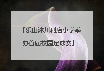 乐山沐川利店小学举办首届校园足球赛