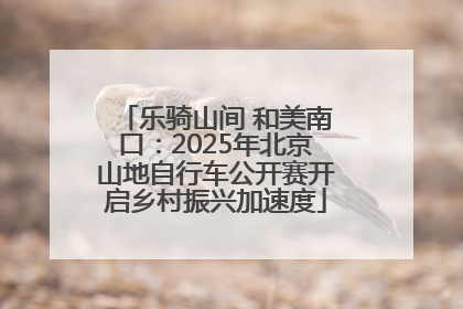 乐骑山间 和美南口：2025年北京山地自行车公开赛开启乡村振兴加速度