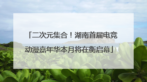 二次元集合！湖南首届电竞动漫嘉年华本月将在衡启幕