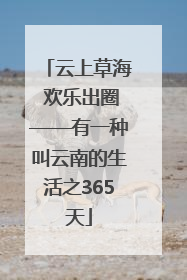 云上草海 欢乐出圈——有一种叫云南的生活之365天