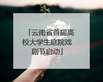 云南省首届高校大学生庭院戏剧节启动