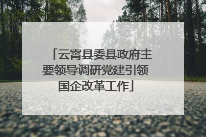 云霄县委县政府主要领导调研党建引领国企改革工作