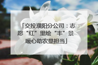 交投濮阳分公司：志愿“红”里绘“丰”景 暖心助农显担当