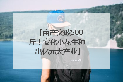 亩产突破500斤！安化小花生种出亿元大产业