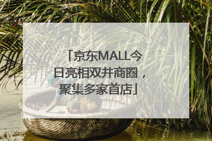 京东MALL今日亮相双井商圈，聚集多家首店