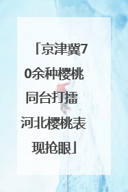 京津冀70余种樱桃同台打擂 河北樱桃表现抢眼