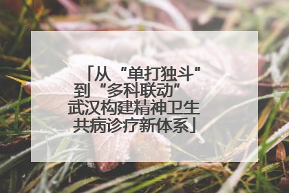从“单打独斗”到“多科联动” 武汉构建精神卫生共病诊疗新体系