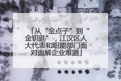 从“金点子”到“金钥匙”，江汉区人大代表和职能部门面对面解企业难题