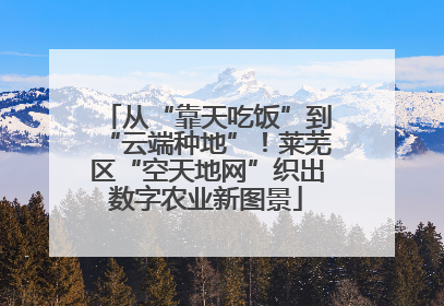 从“靠天吃饭”到“云端种地”！莱芜区“空天地网”织出数字农业新图景