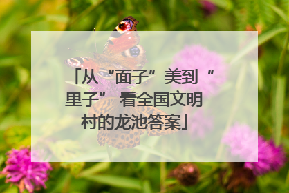 从“面子”美到“里子” 看全国文明村的龙池答案