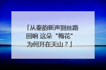 从秦韵新声到丝路回响 这朵“梅花”为何开在天山？