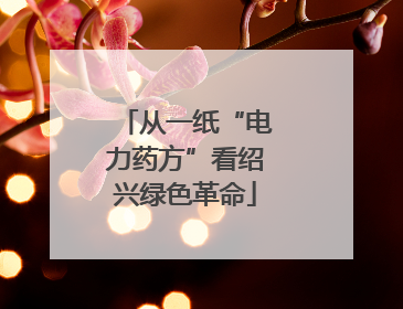从一纸“电力药方”看绍兴绿色革命