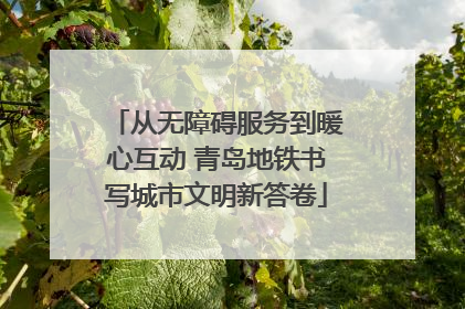 从无障碍服务到暖心互动 青岛地铁书写城市文明新答卷