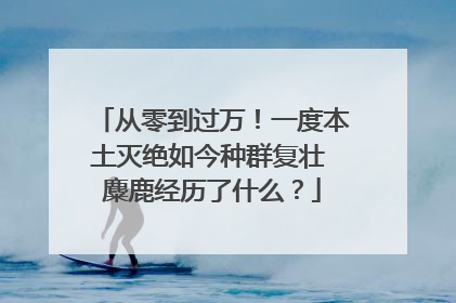 从零到过万！一度本土灭绝如今种群复壮 麋鹿经历了什么？